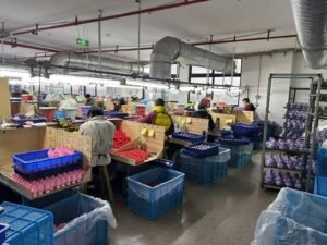 Rubber duck factory production area with workers sorting and assembling rubber ducks in various colored bins.