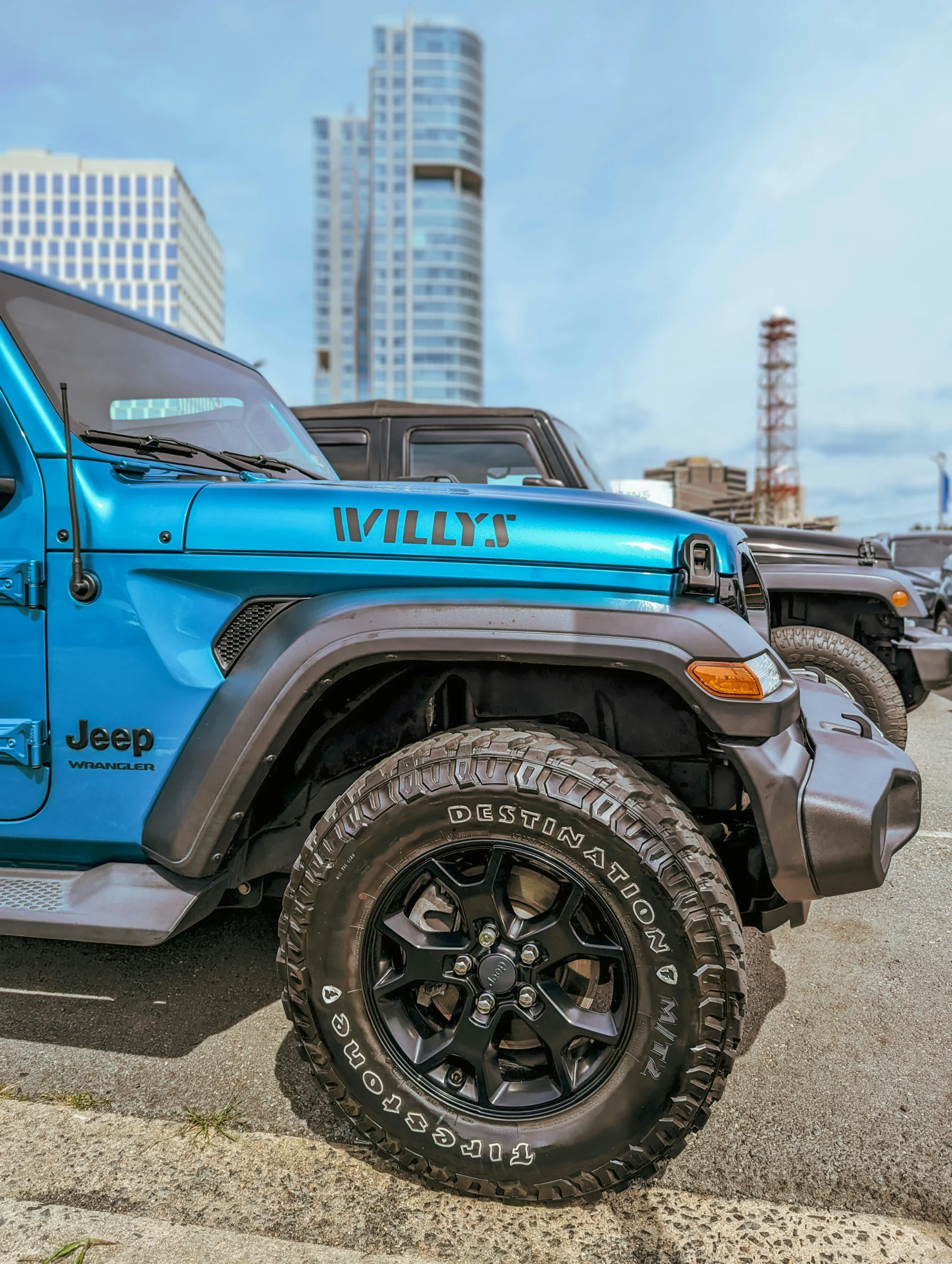 Custom jeep ducks bulk