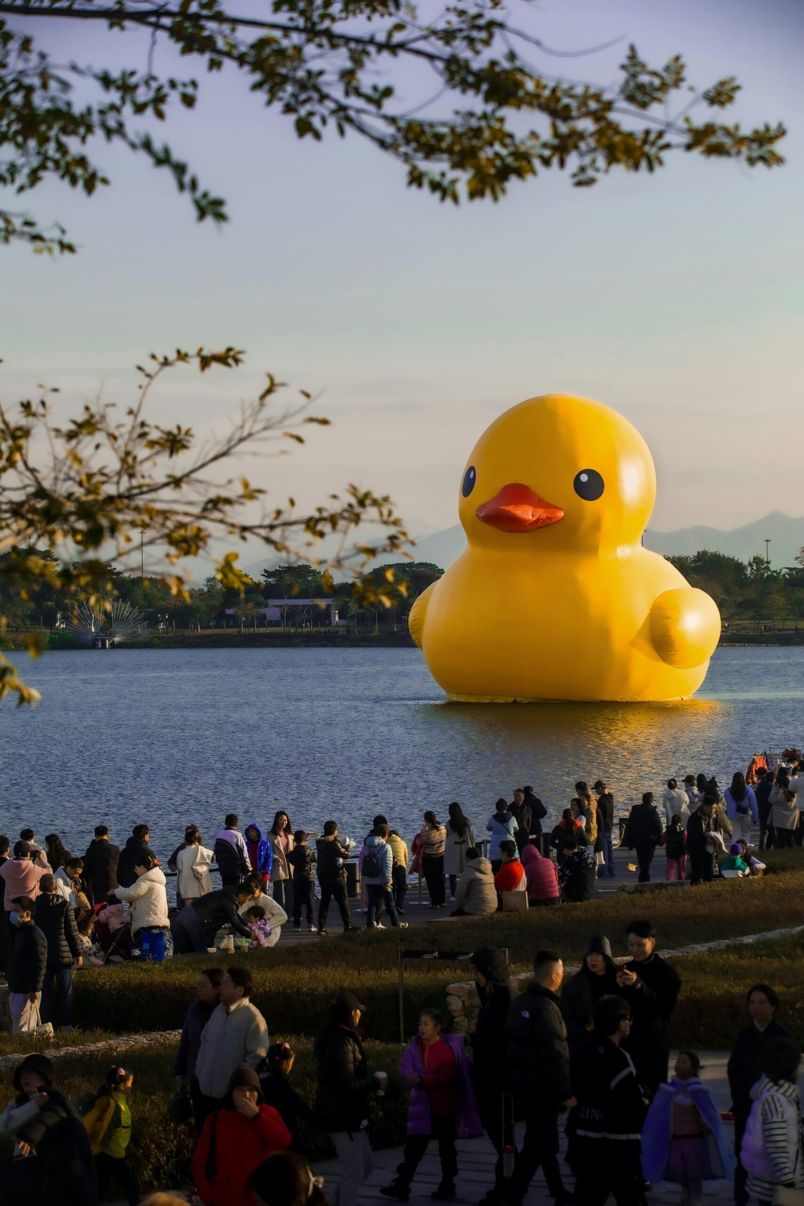 Large Rubber Duck Bulk Orders: Avoid Costly Mistakes Custom Giant Rubber Duck OEM