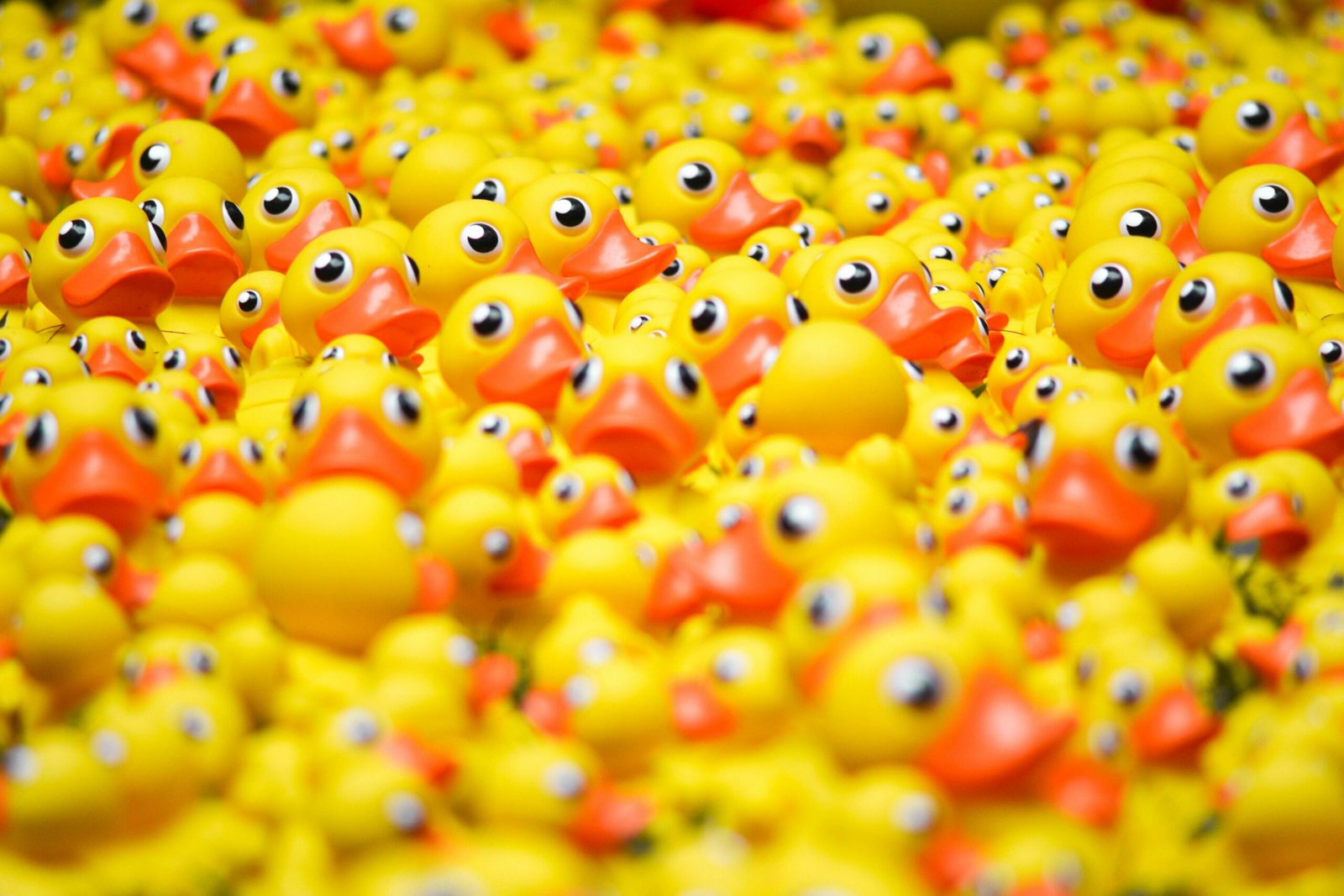 Large Rubber Duck Bulk Orders: Avoid Costly Mistakes Large Rubber Duck Bulk Orders: Avoid Costly Mistakes