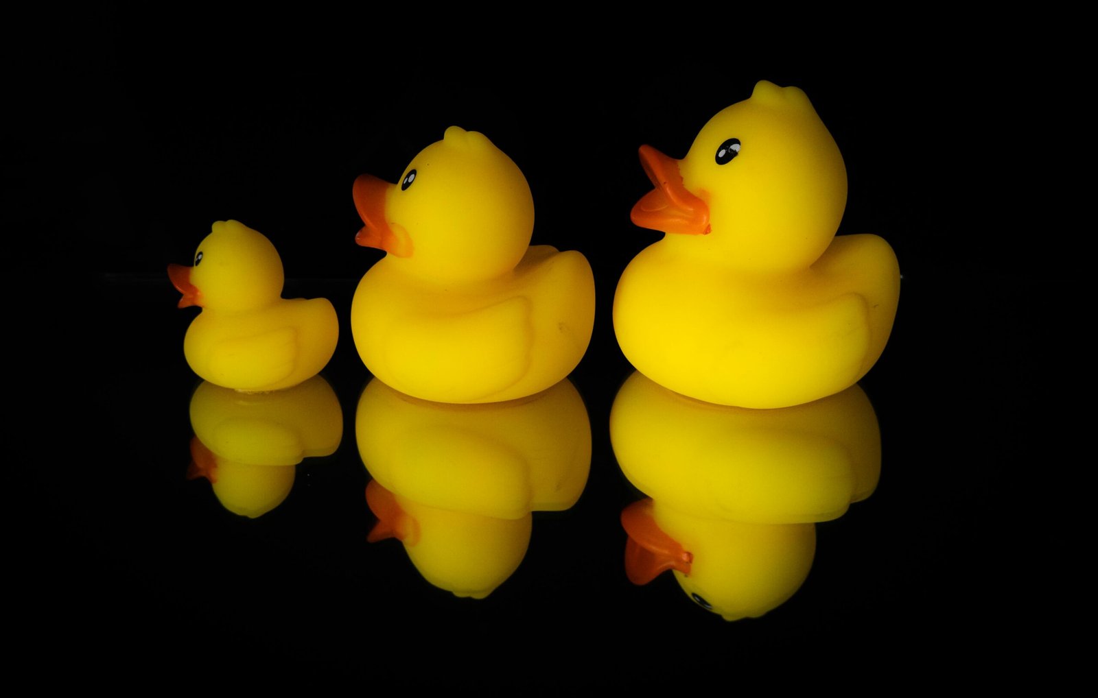 Large Rubber Duck Bulk Orders: Avoid Costly Mistakes Wholesale Large Rubber Duck Pricing