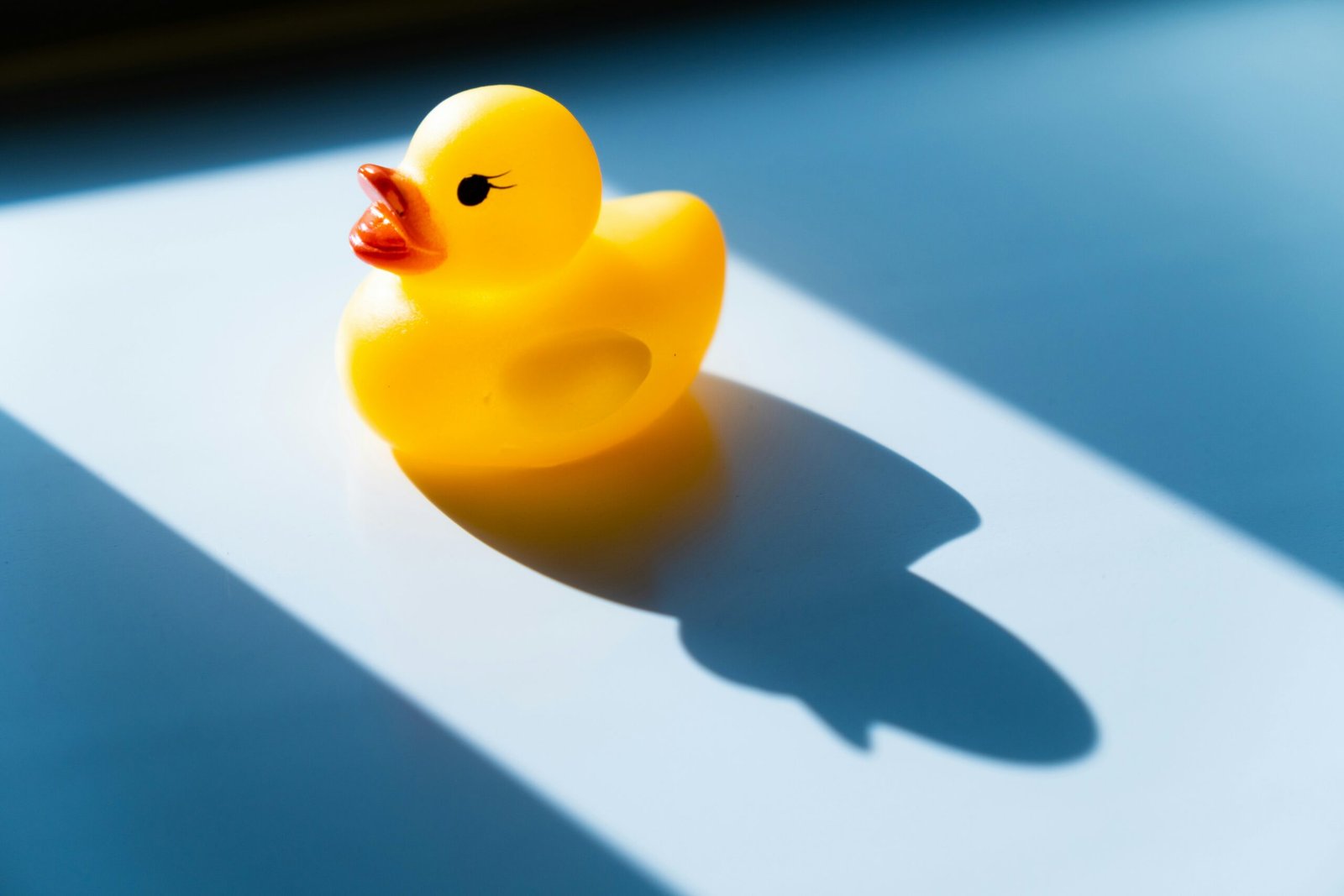 large rubber duck Event Logistics & Installation Factors