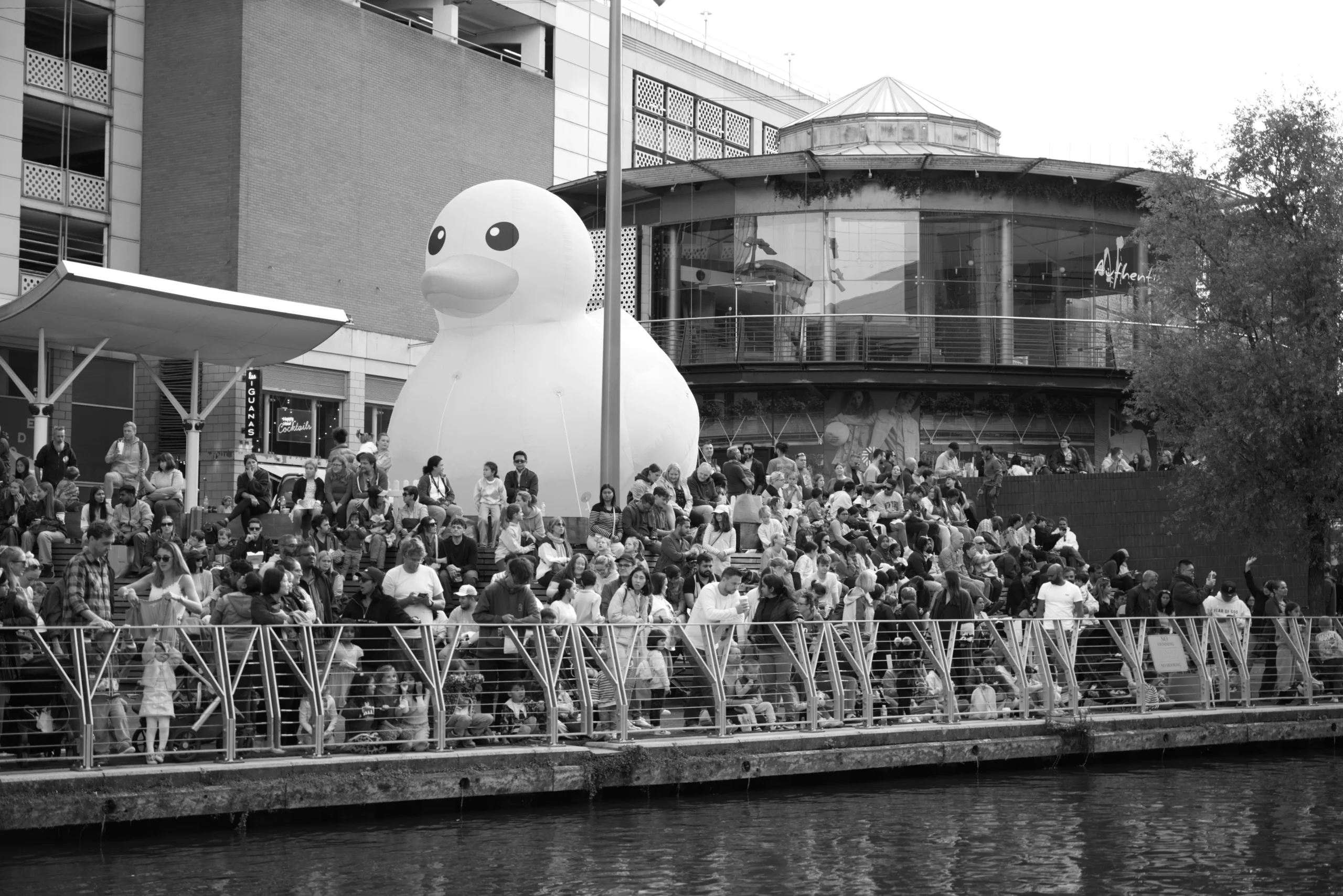 large rubber duck Giant Inflatable Duck Engineering Realities
