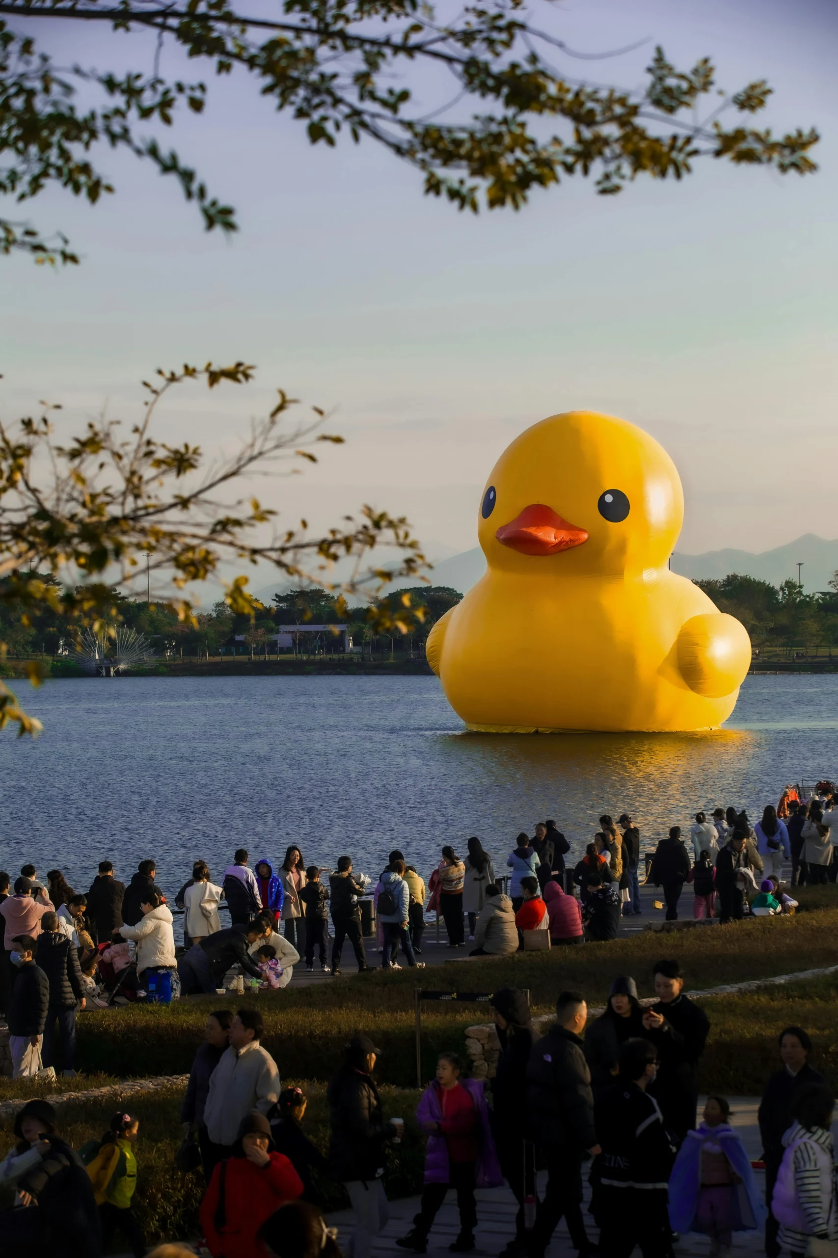 large rubber duck Giant Rubber Duck Materials: PVC vs Inflatable
