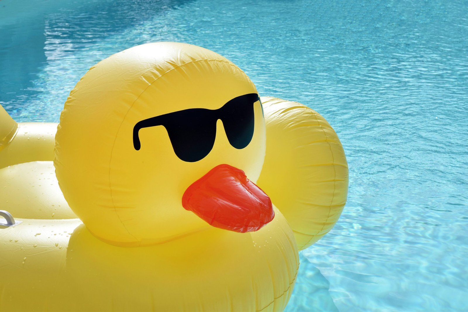 large rubber duck Large Rubber Duck Costs: Solid vs Inflatable