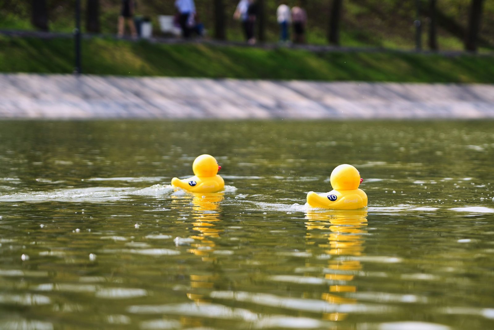 large rubber duck Large Rubber Duck Size Classes