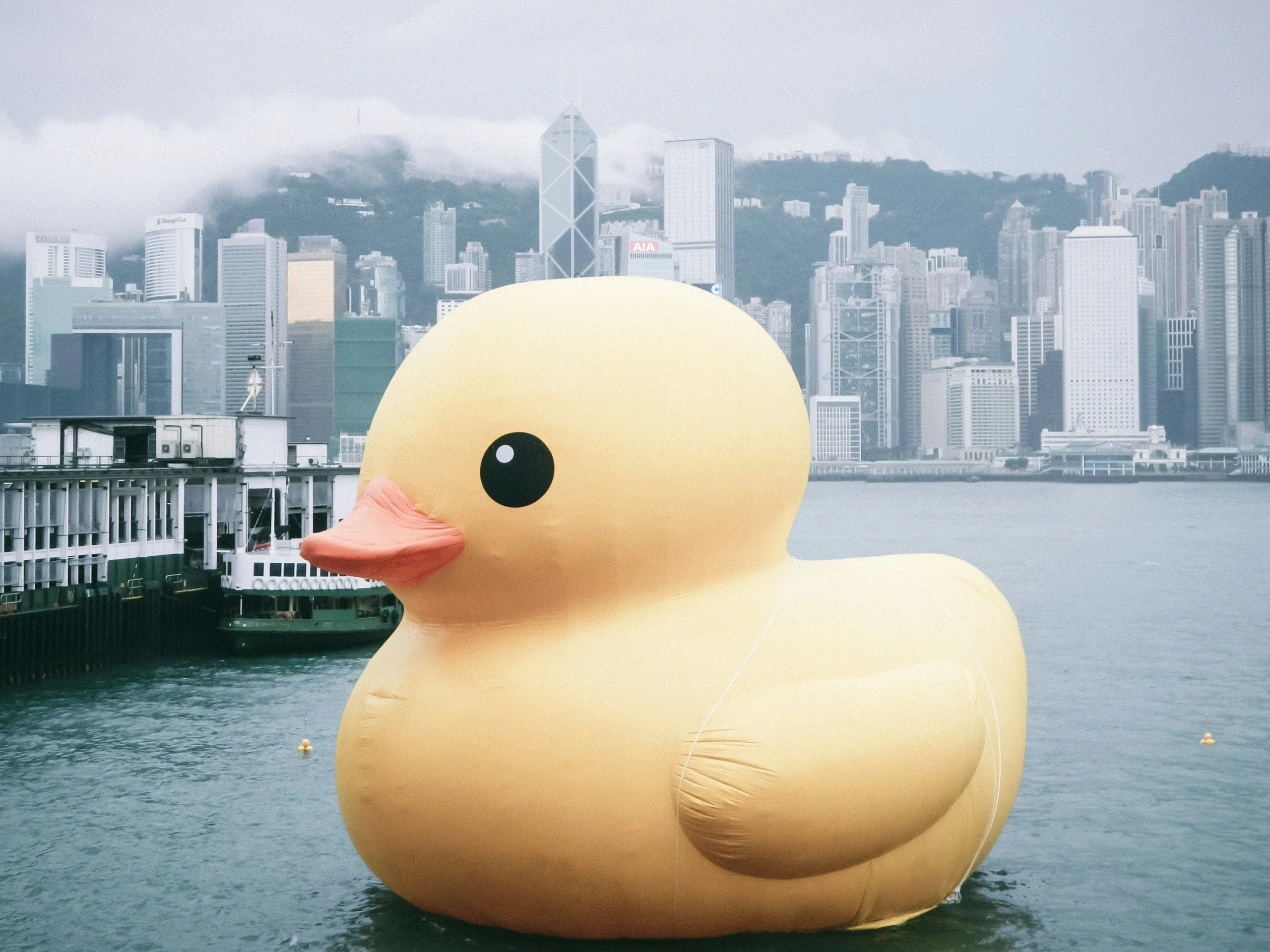 large rubber duck Large Rubber Duck: Sizes, Specs & Costs