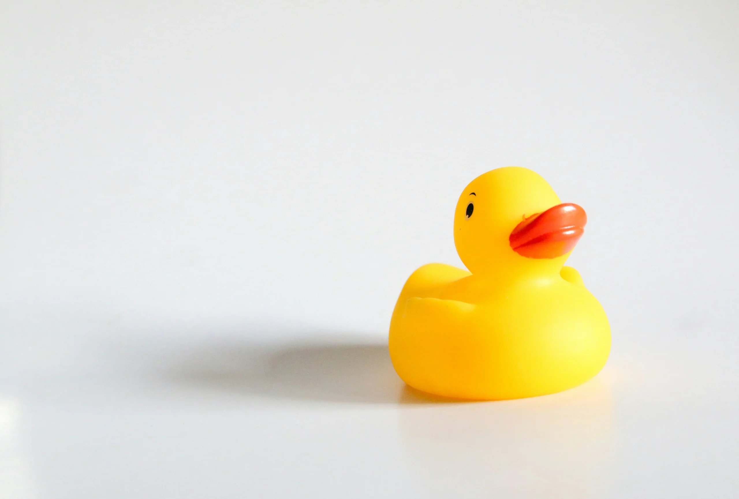 large rubber duck Natural Rubber vs. PVC Trade-offs