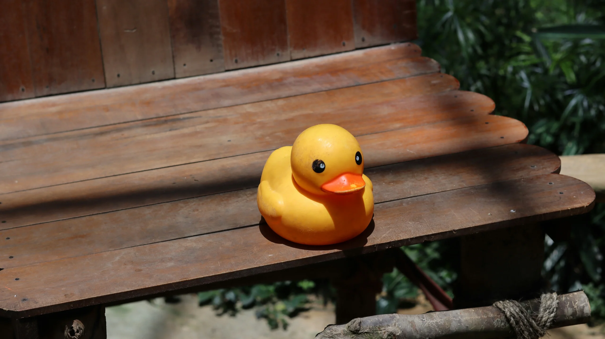 large rubber duck