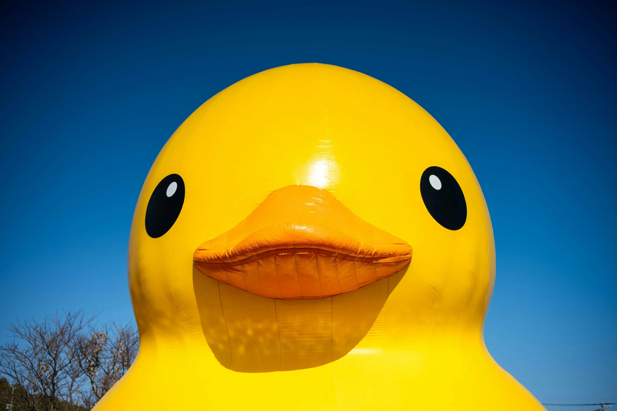 large rubber duck