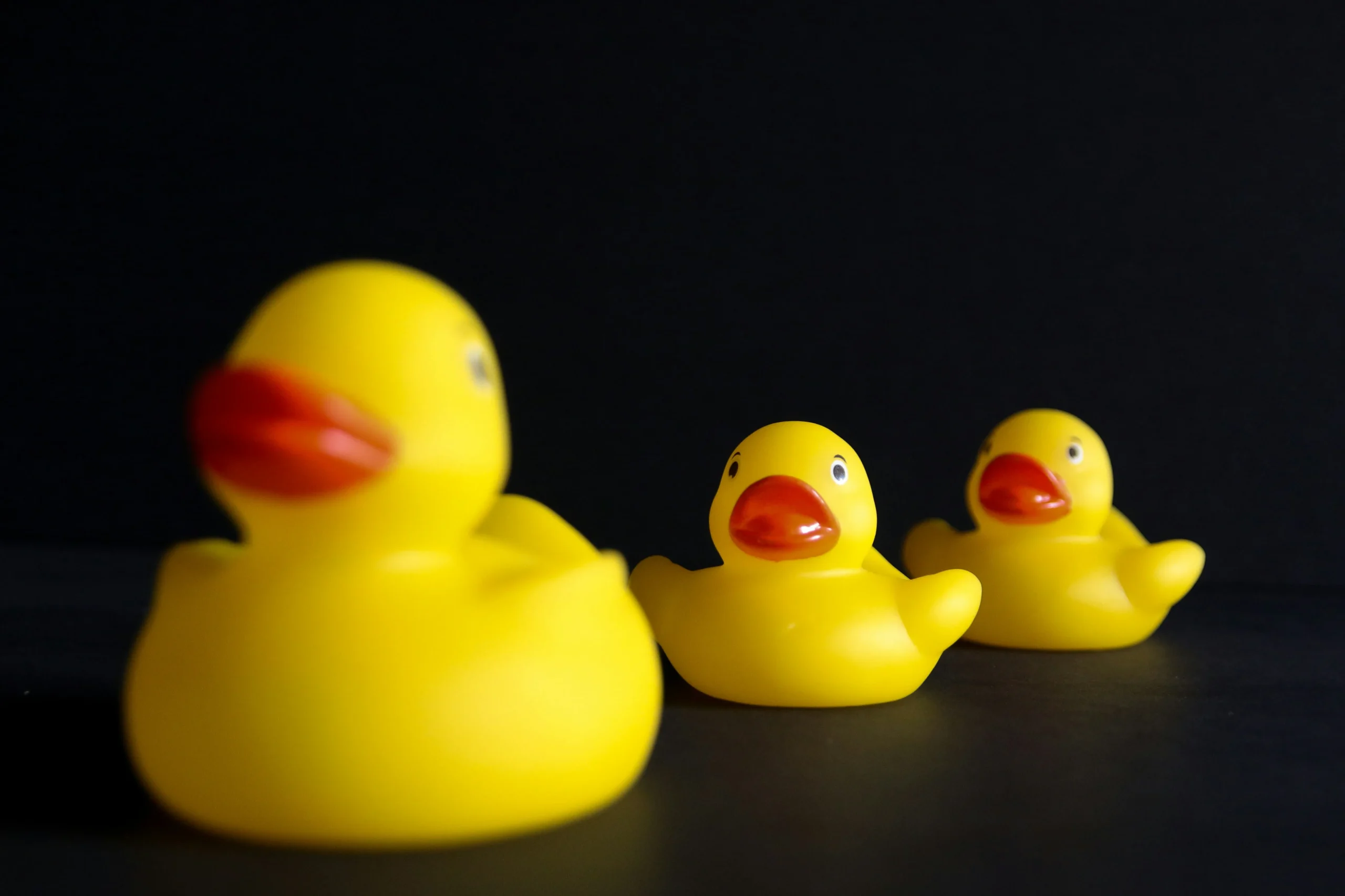 large rubber duck