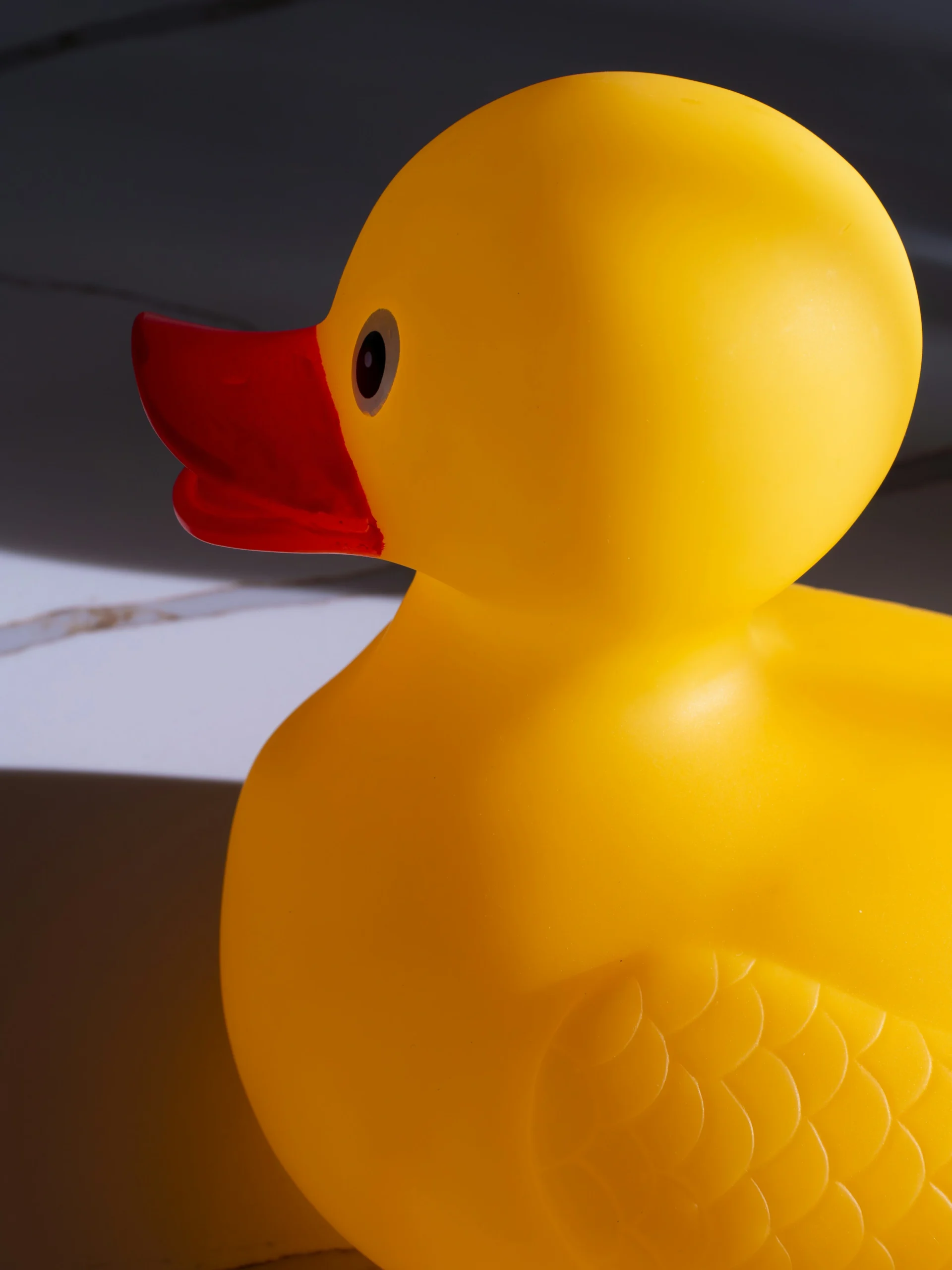 large rubber duck packaging Large Rubber Duck Packaging: Cut Freight Costs