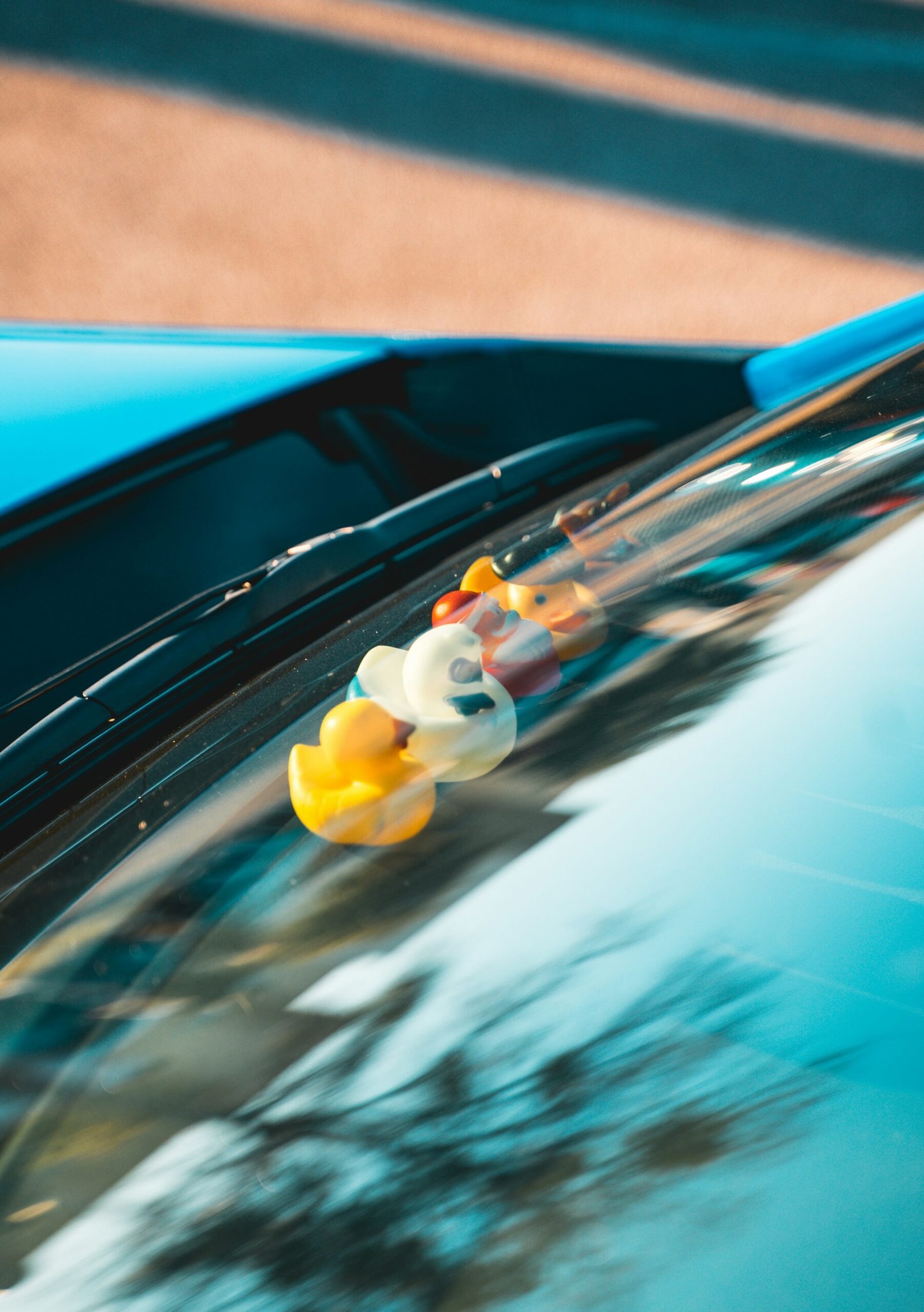 themed rubber duck in bulk for a community giveaway