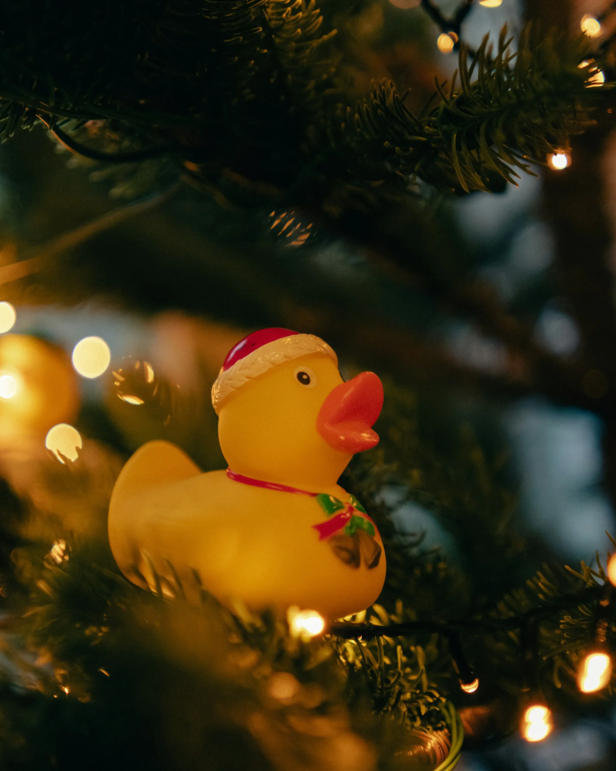 bulk rubber duck order pricing