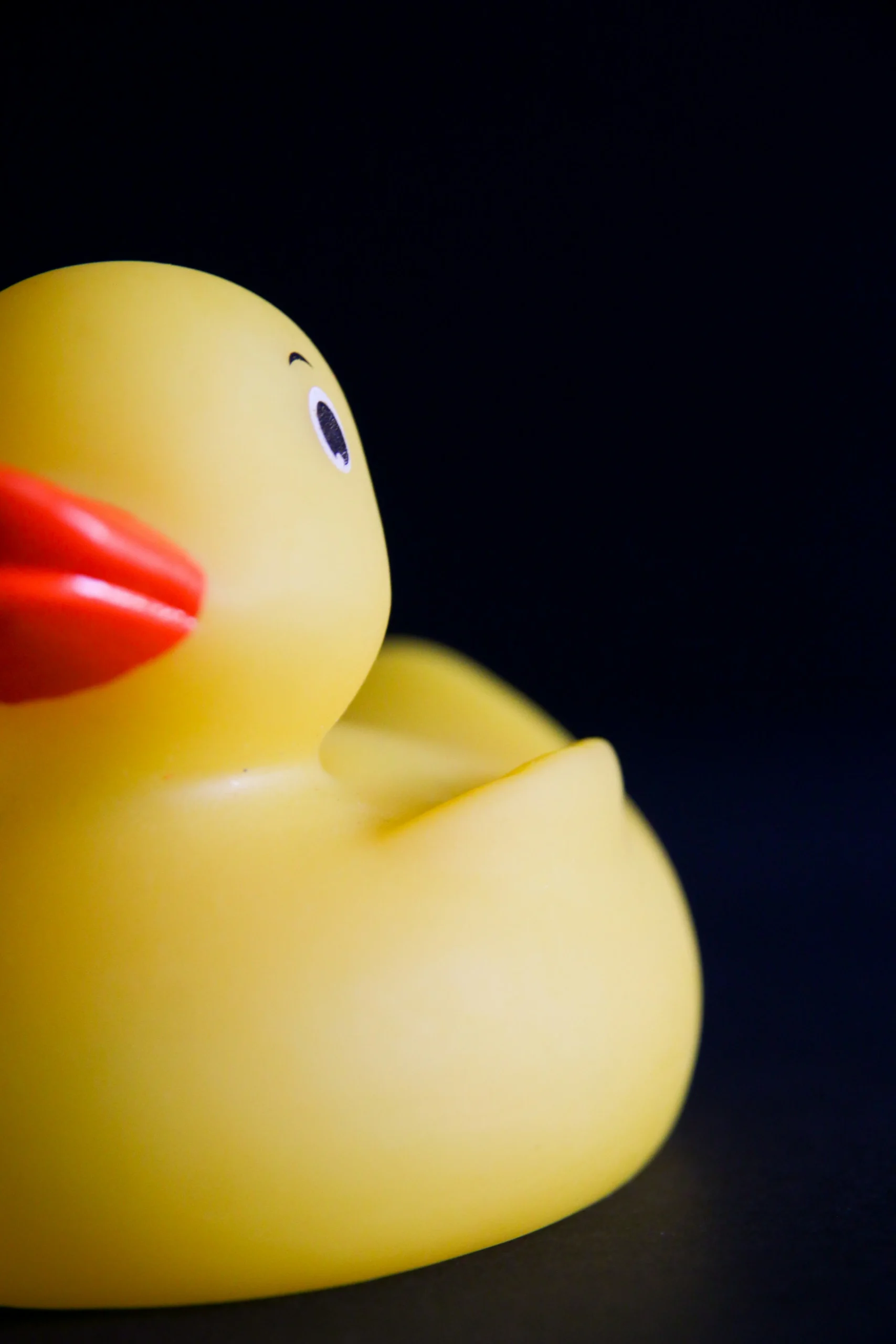 Certified non-toxic rubber duck highlighting safety compliance