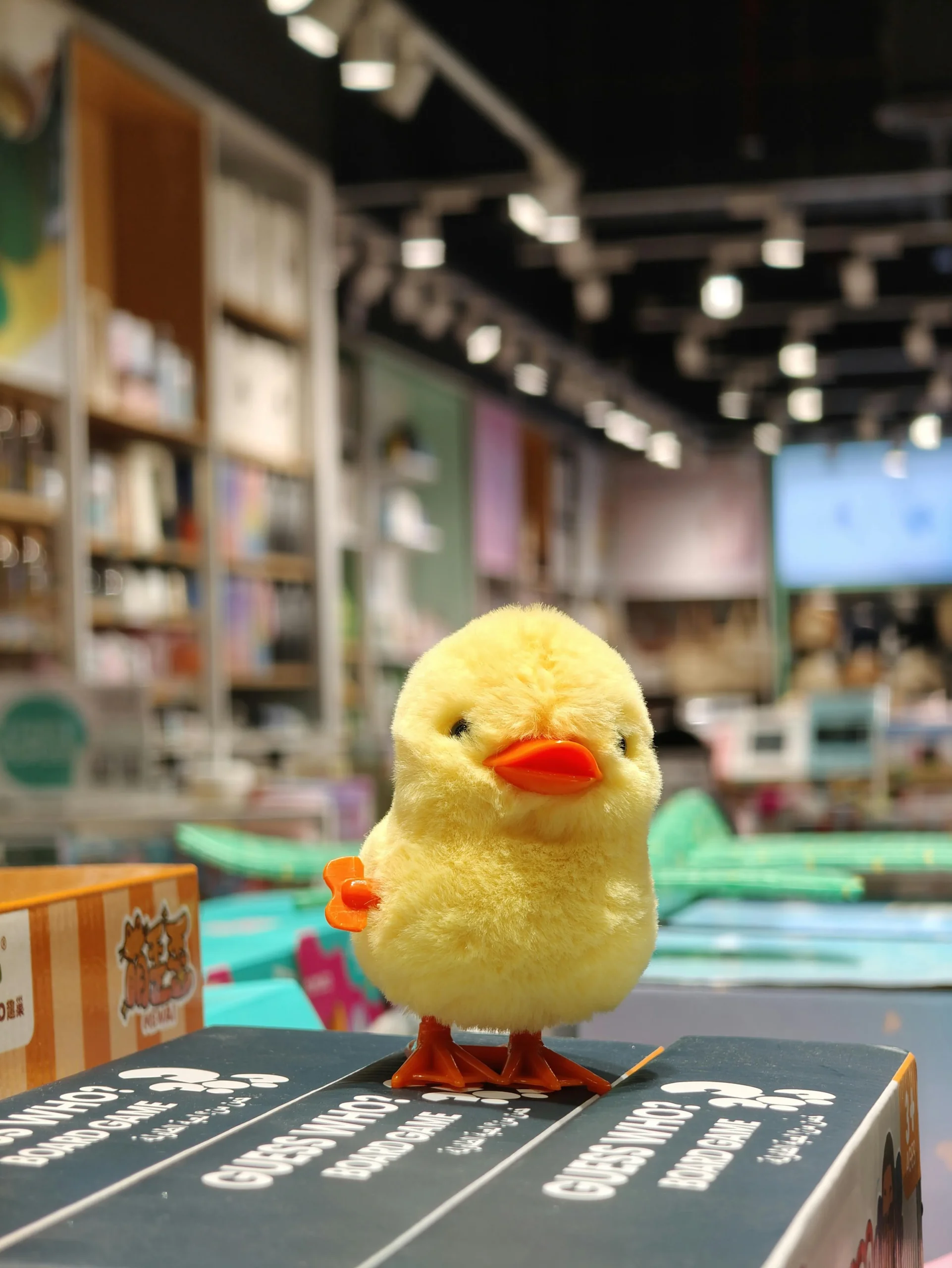 LZENGO custom duck retail display packaging for gift shop and souvenir product lines