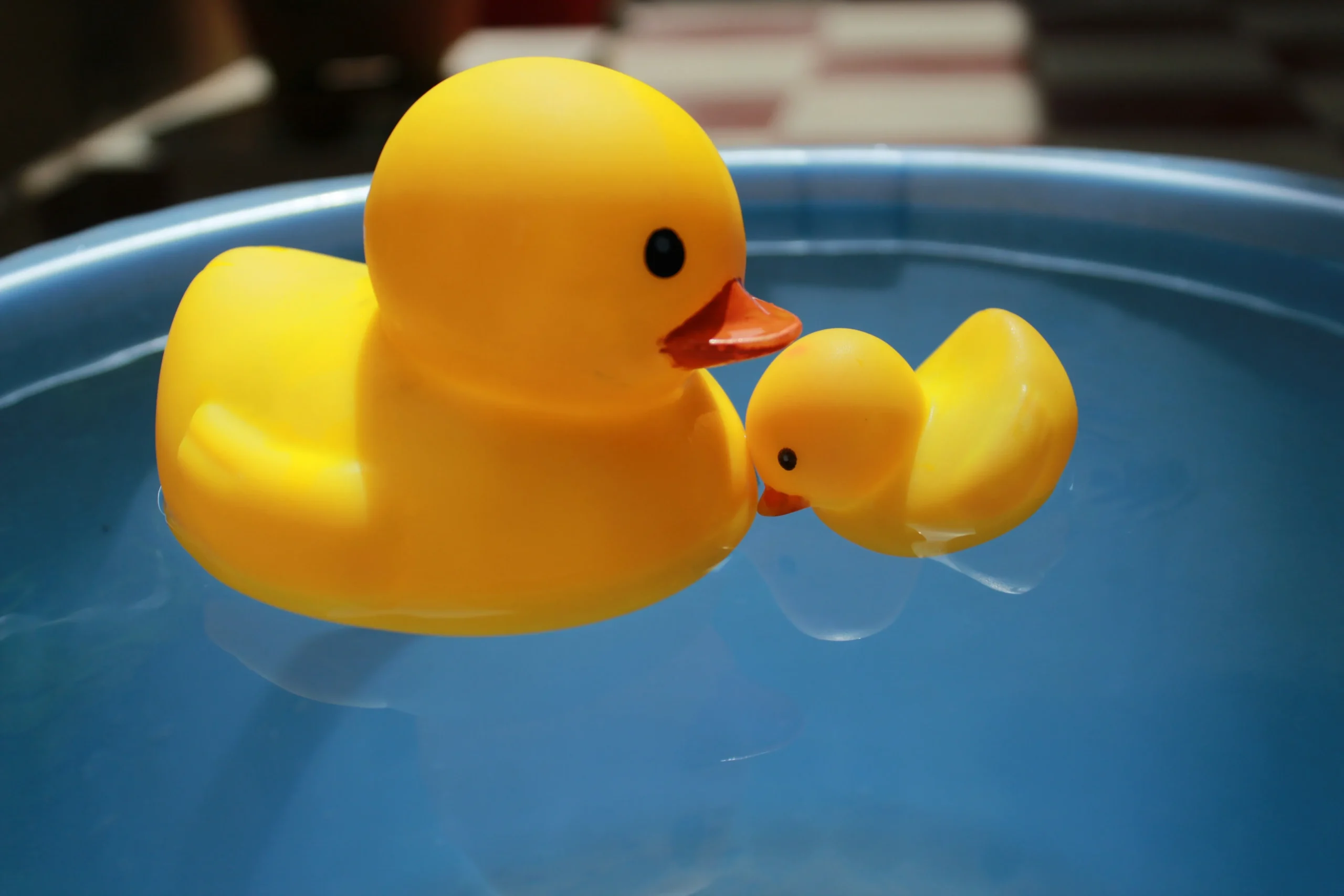Factory-molded PVC duck production line
