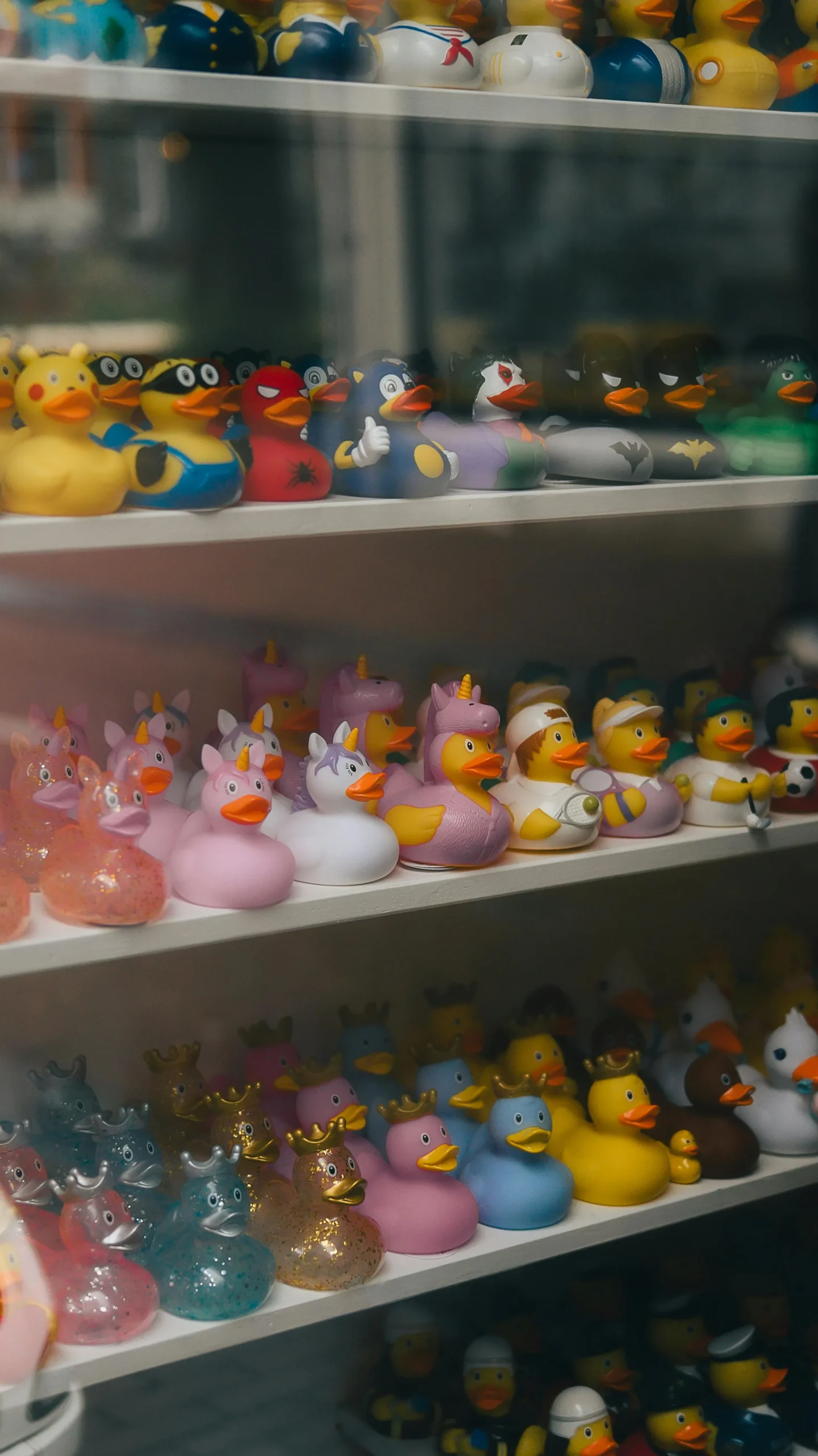 gift shop jeep duck display