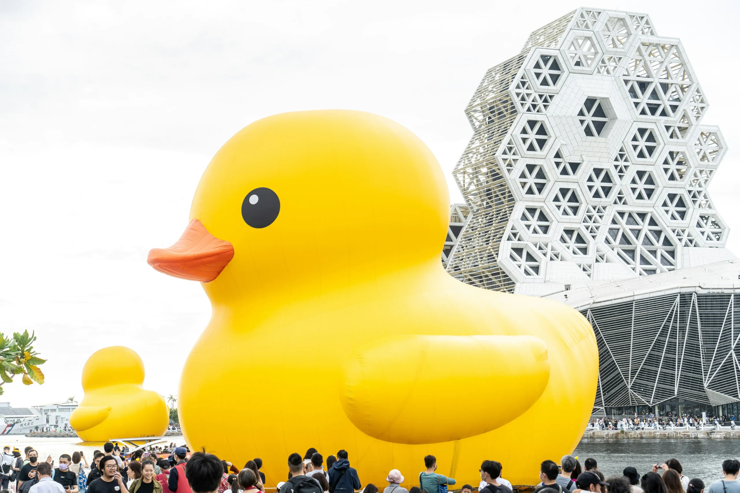 inflatable duck Pantone color sample