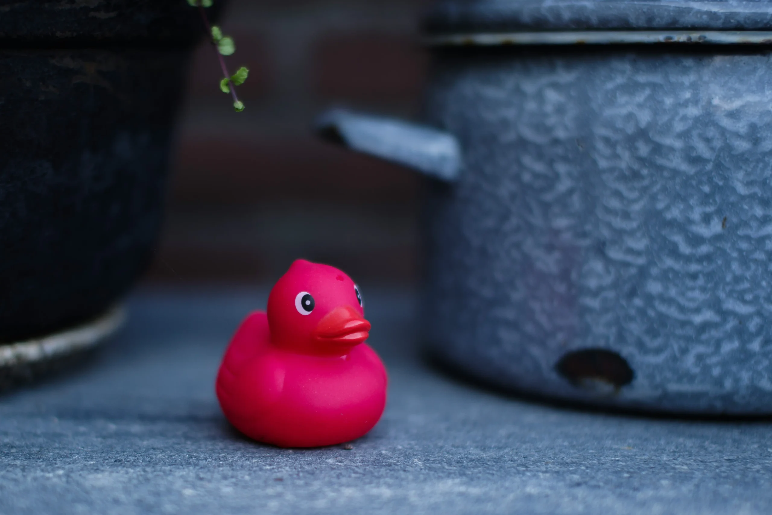 large rubber duck