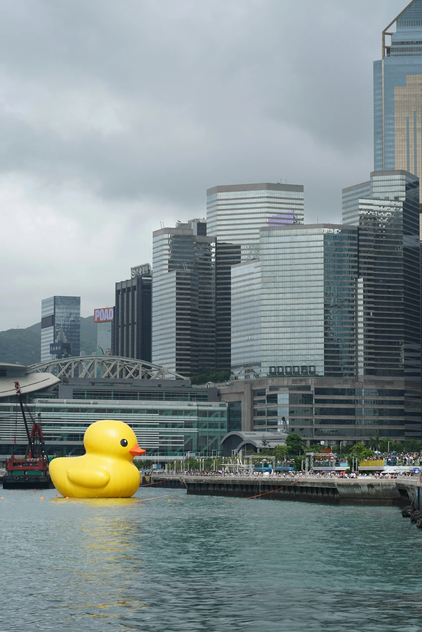 large rubber duck