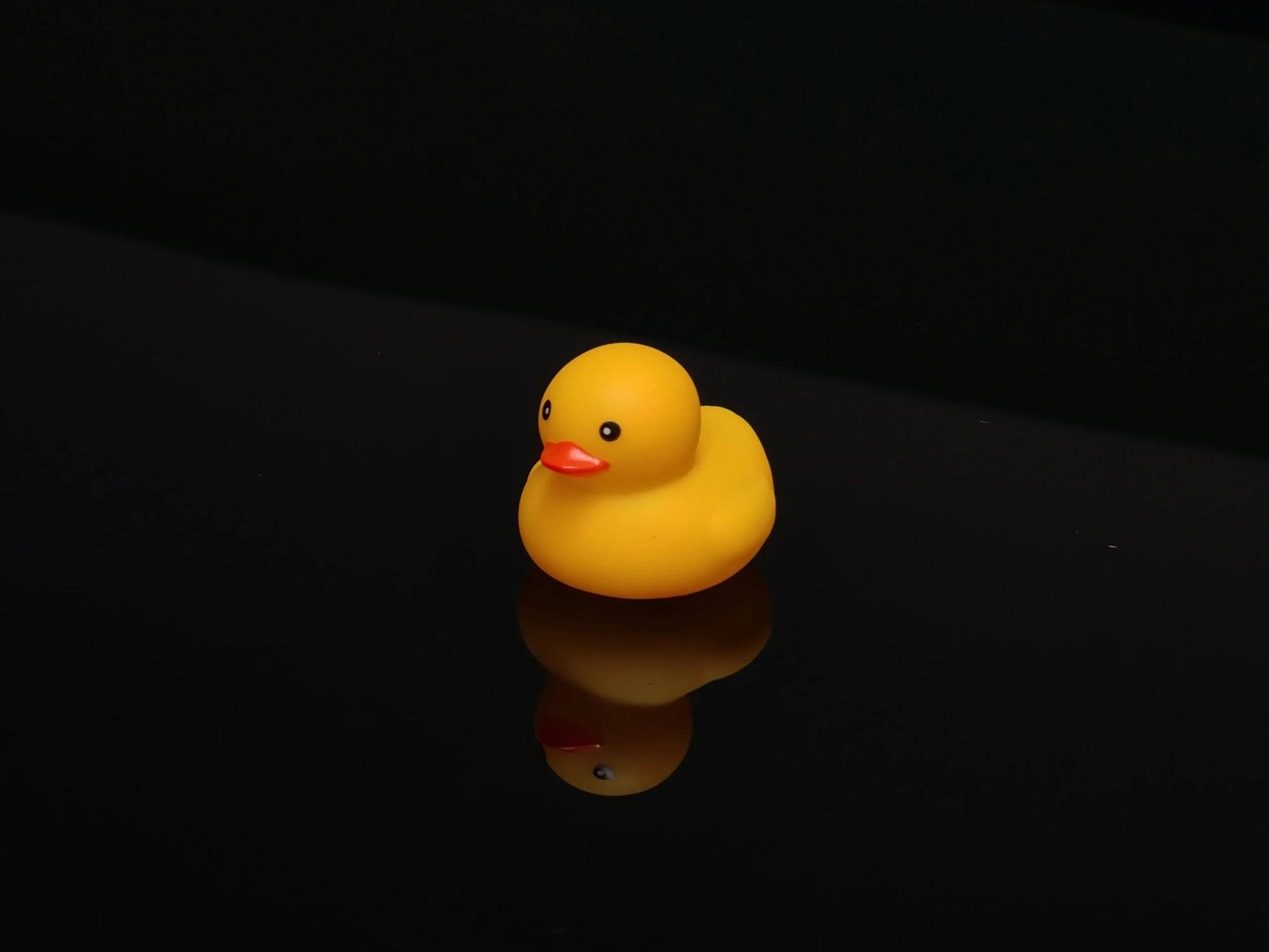 large rubber duck