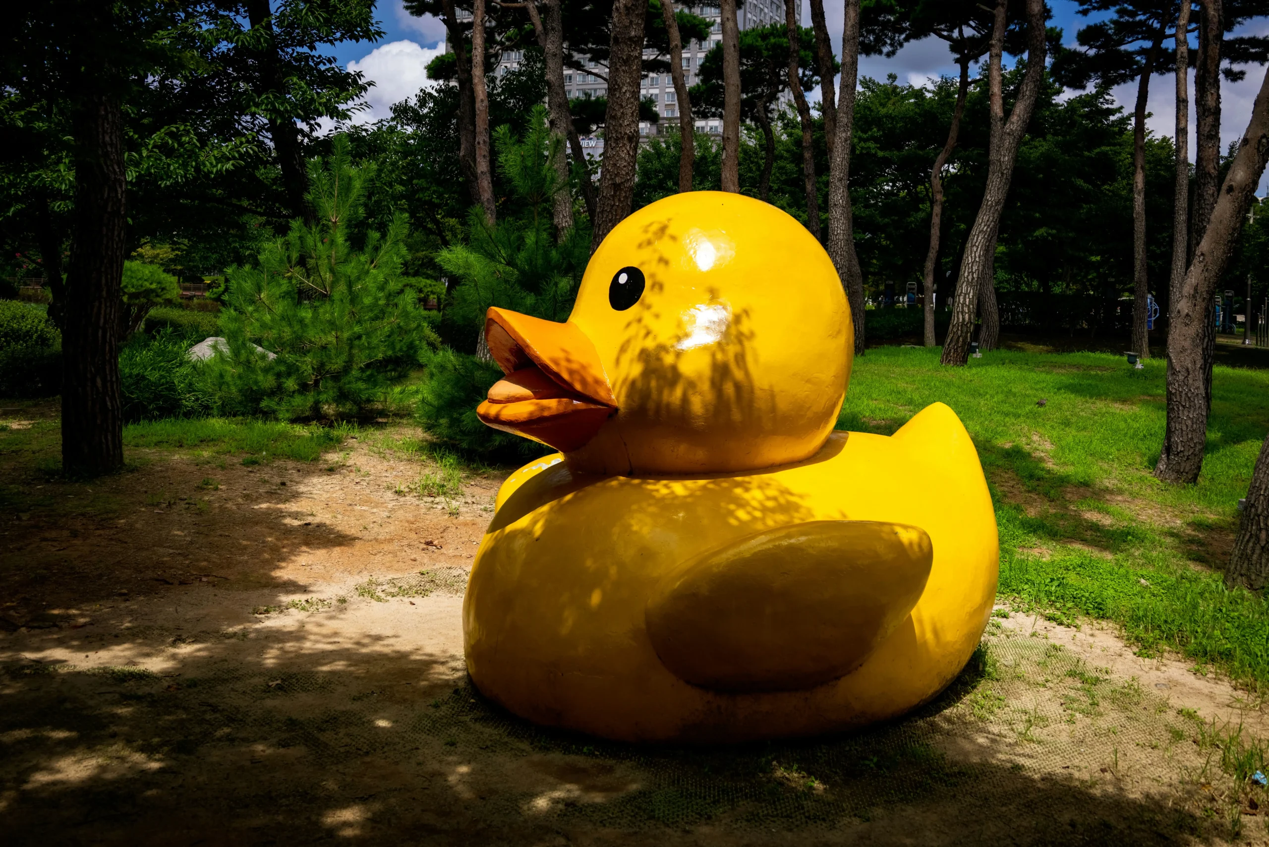 large rubber duck