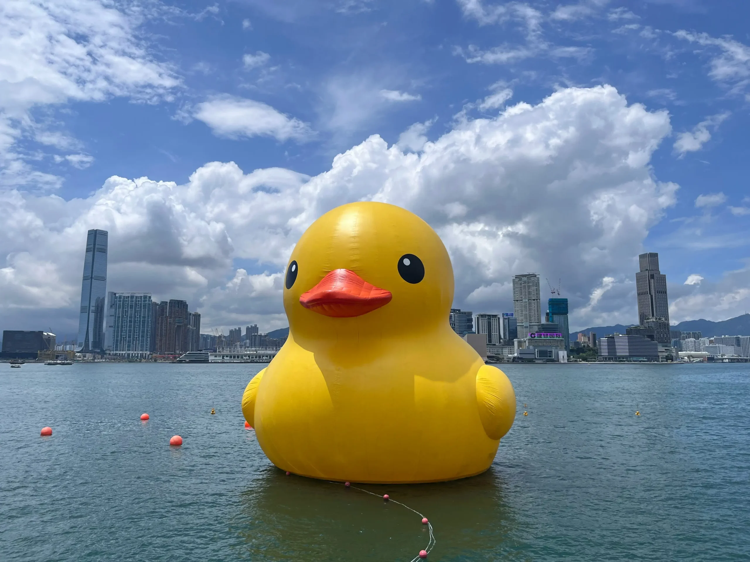 large rubber duck