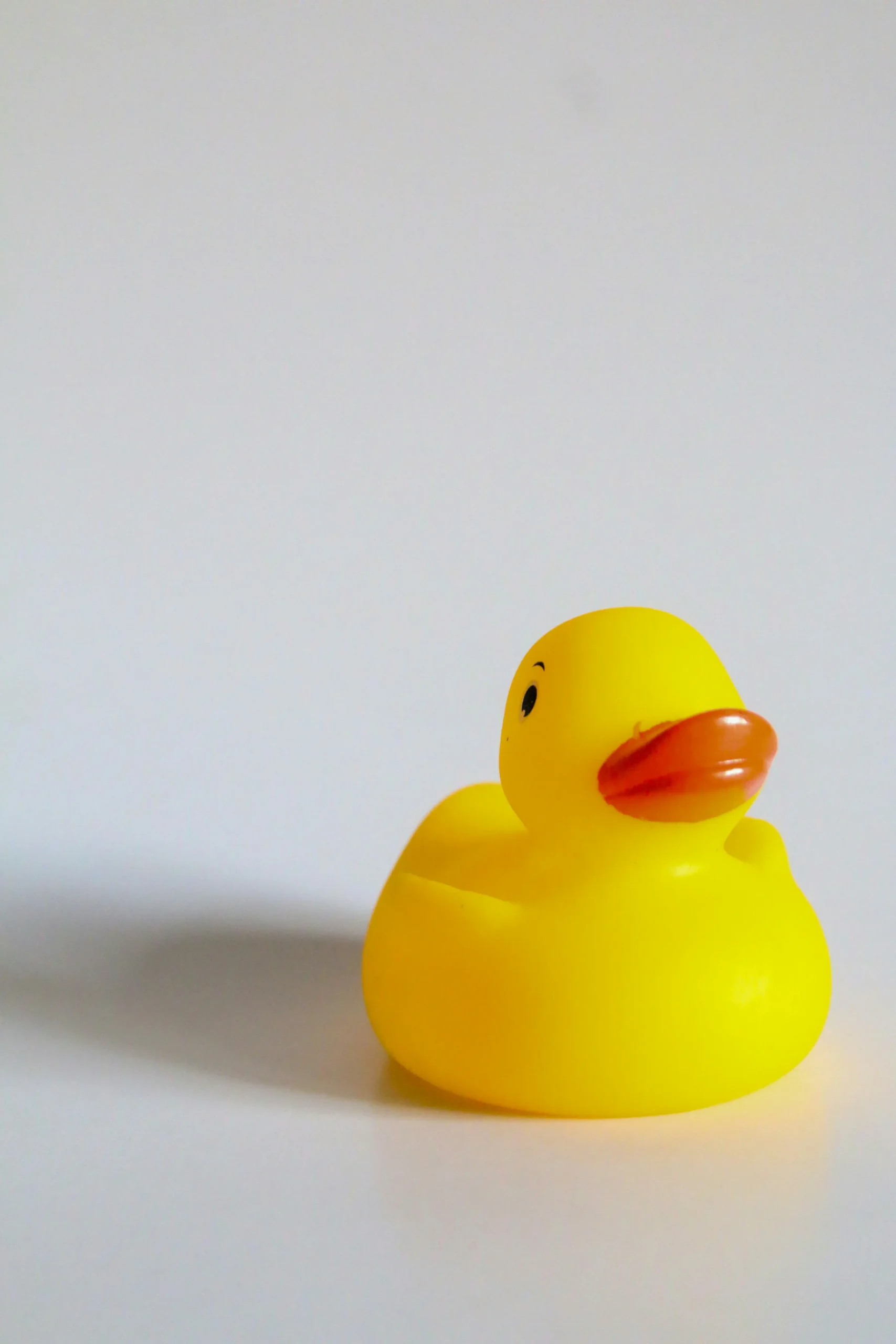 large rubber duck