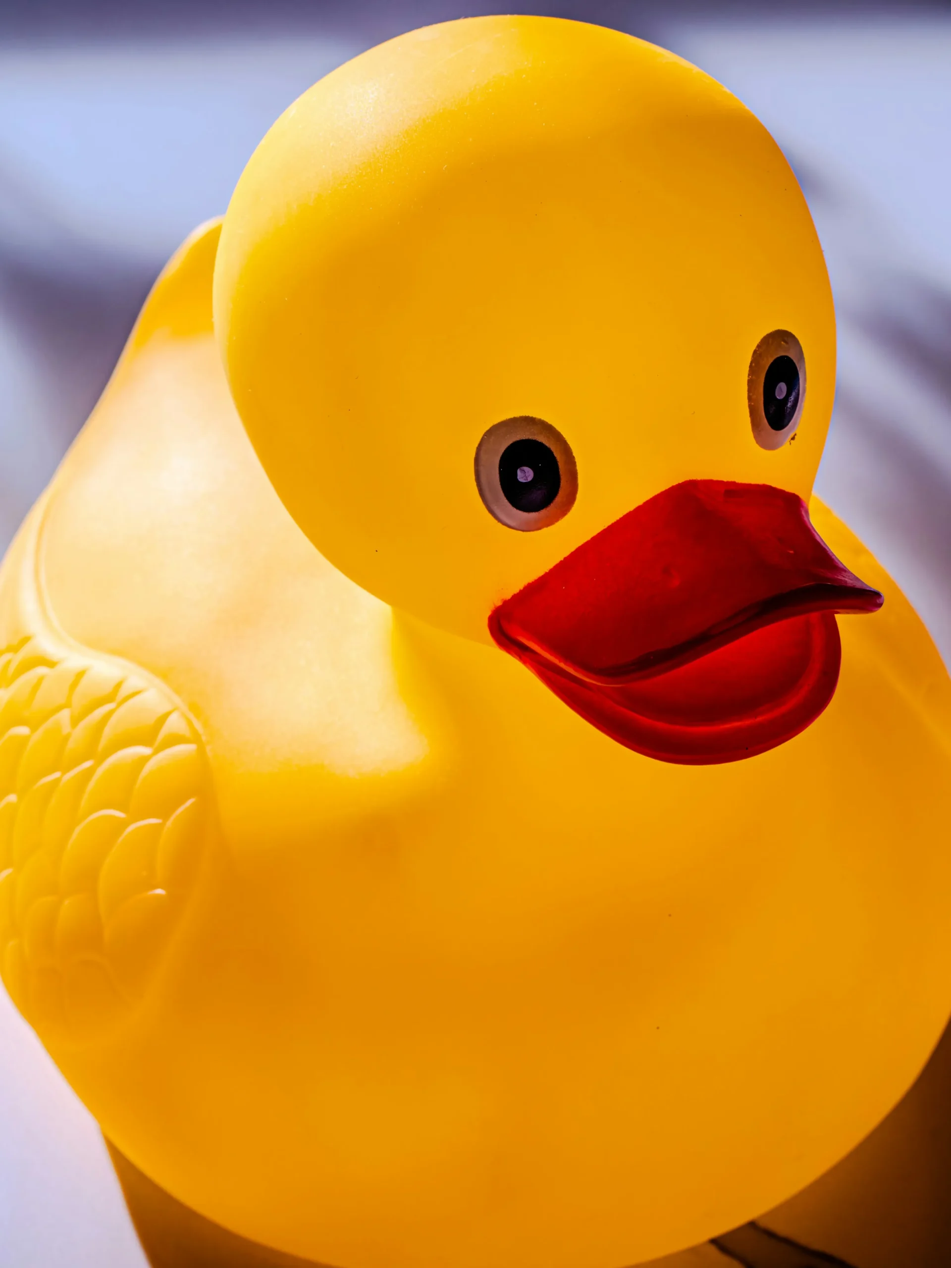 large rubber duck