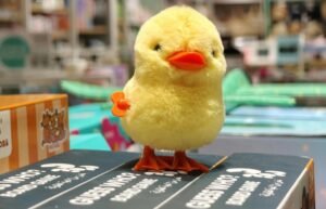 LZENGO custom rubber duck packaging display boxes for retail carton and branded gift box options