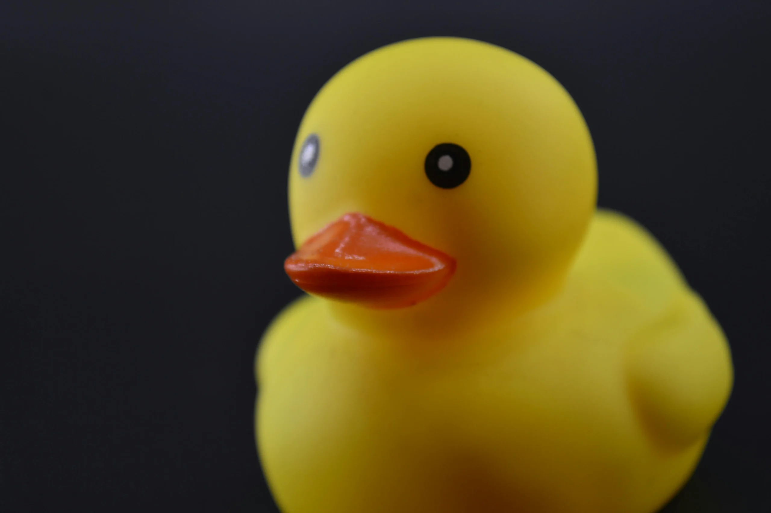 Pantone matched custom rubber duck closeup showing approved artwork print quality