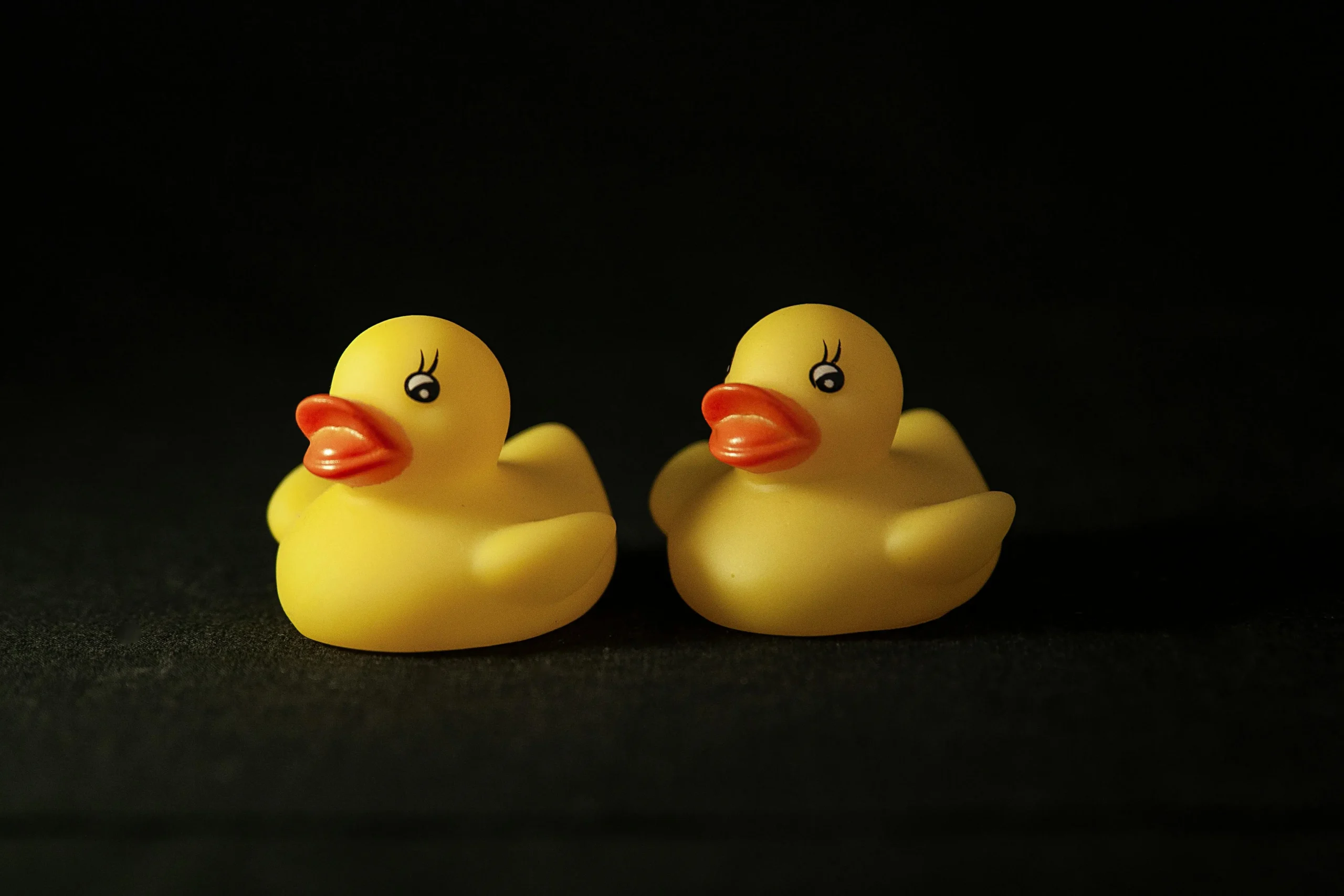 Rubber duck placed on a Jeep hood in the ducking tradition