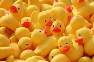rubber ducks for jeeps