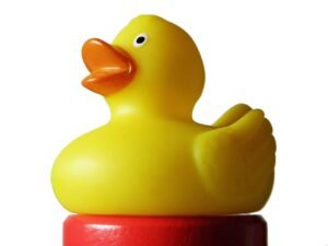 rubber ducks for jeeps