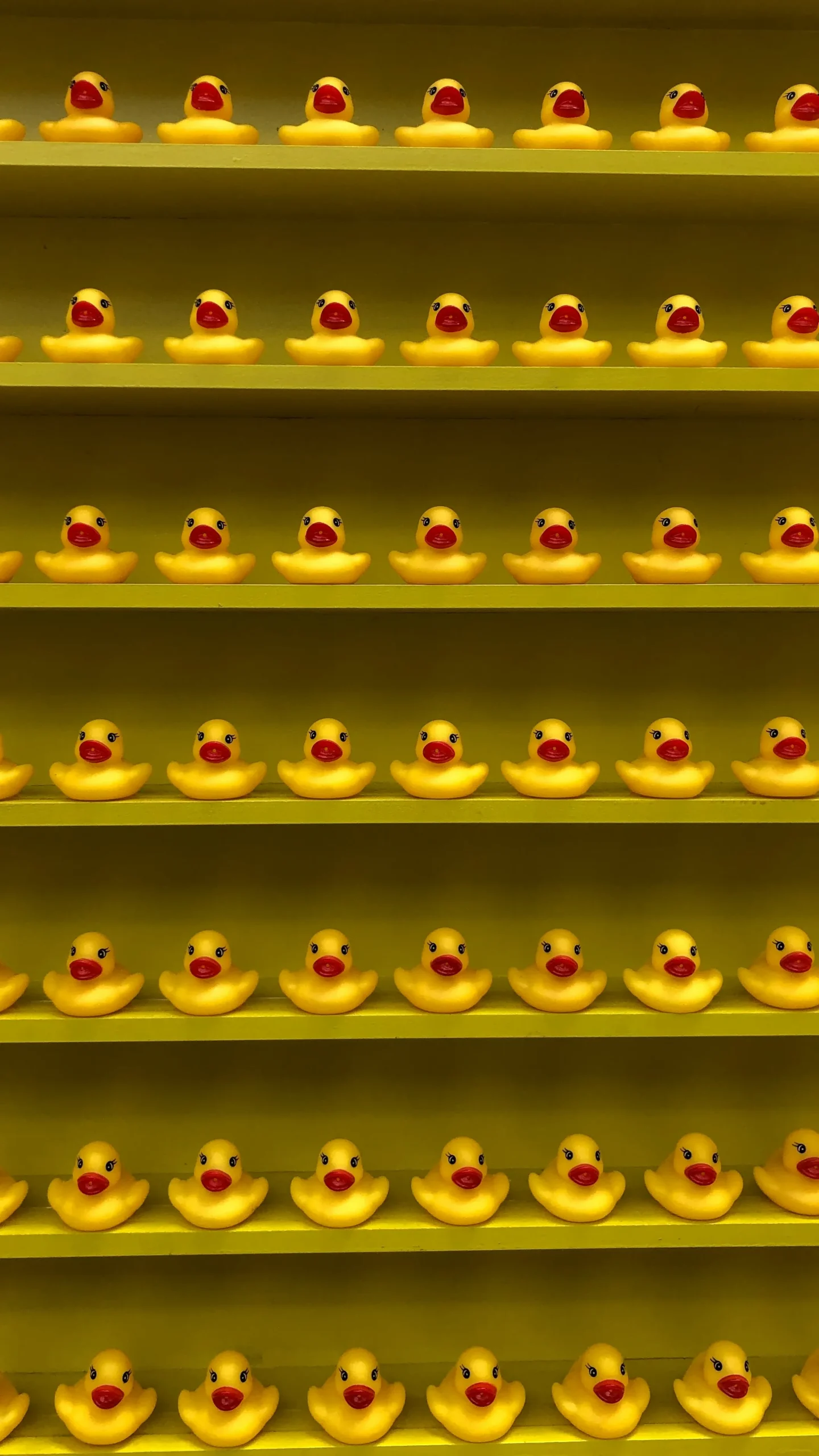 shelf ready custom duck samples awaiting golden sample sign-off