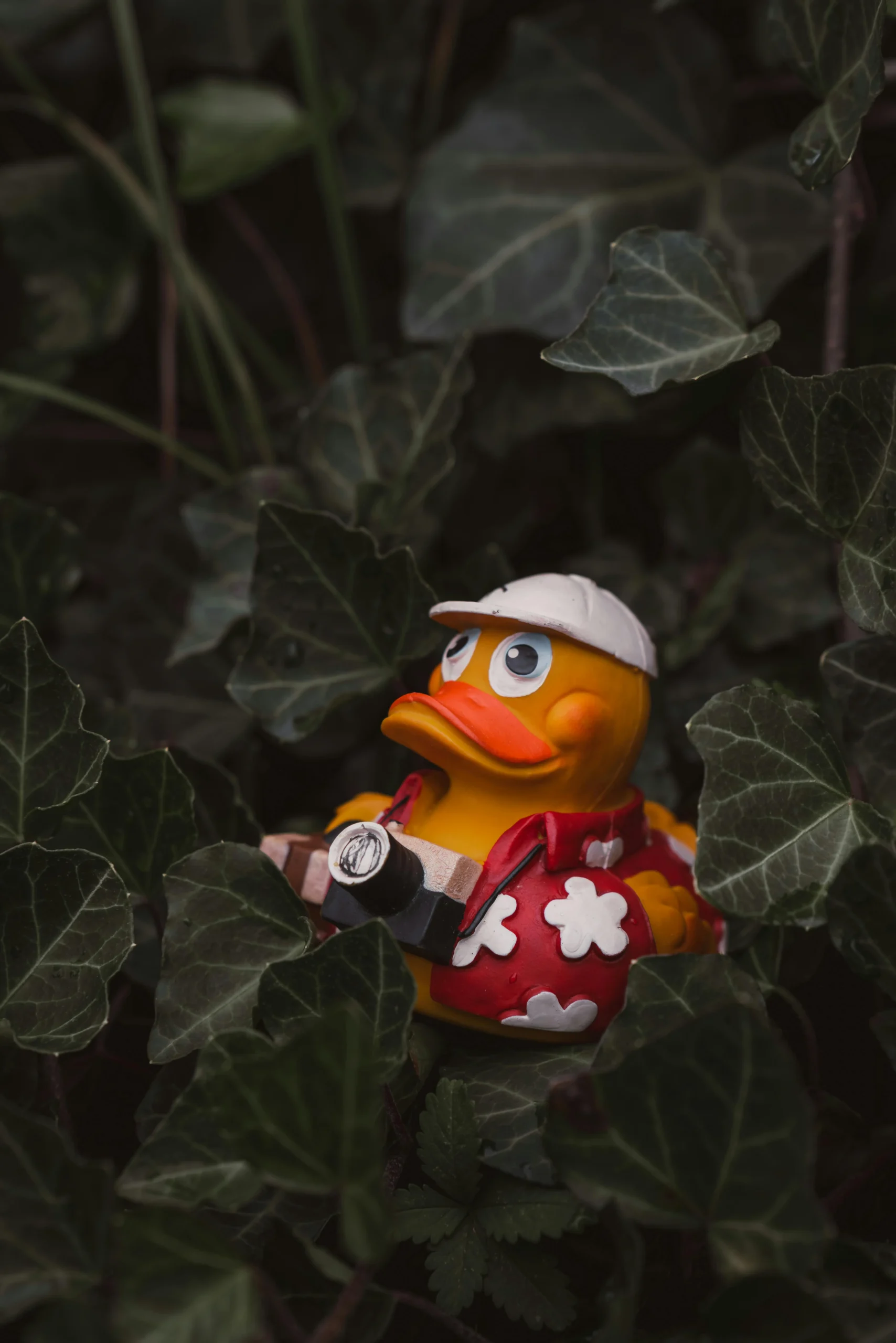 sourcing theme Jeep ducks