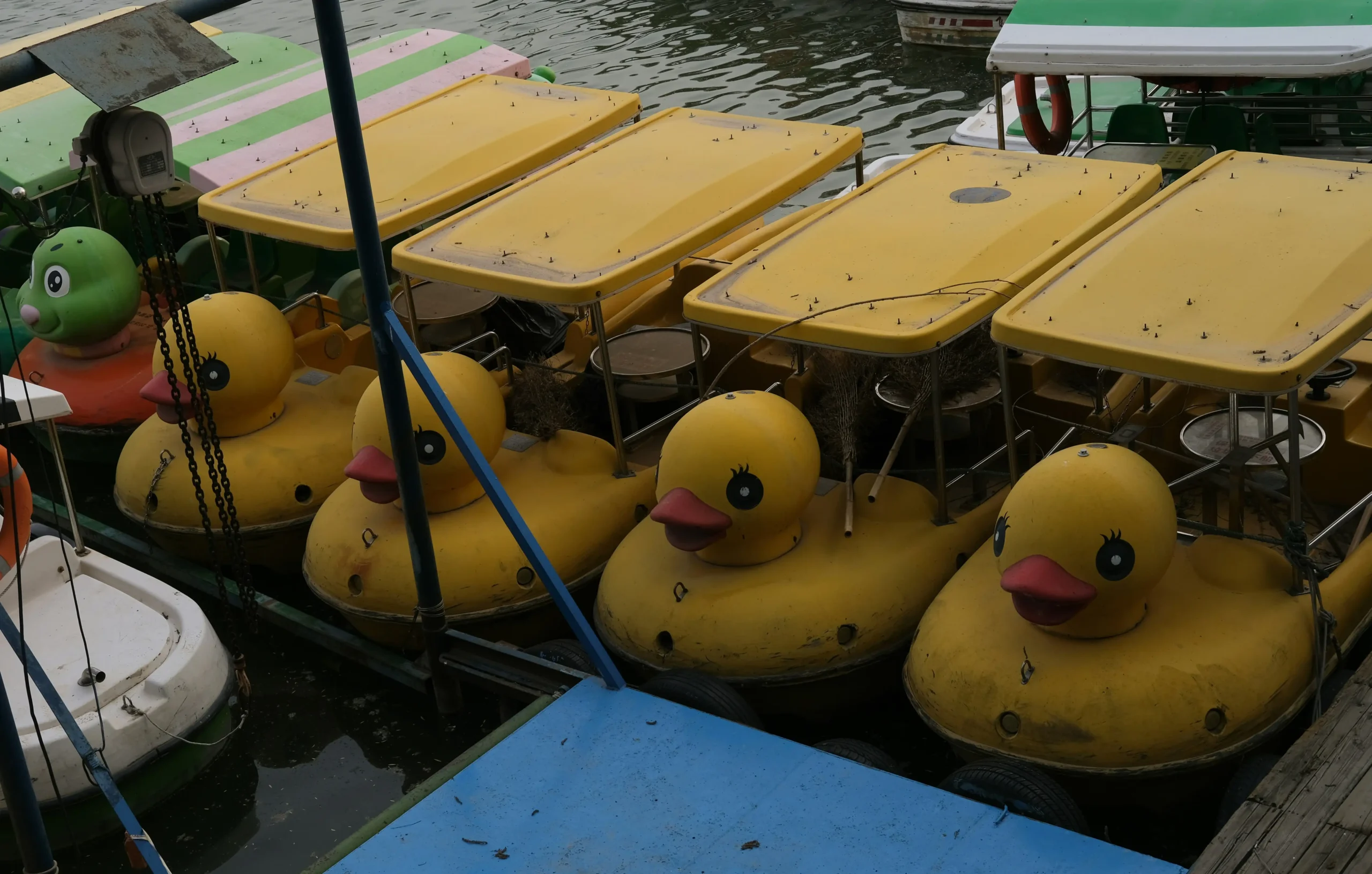 theme jeep ducks
