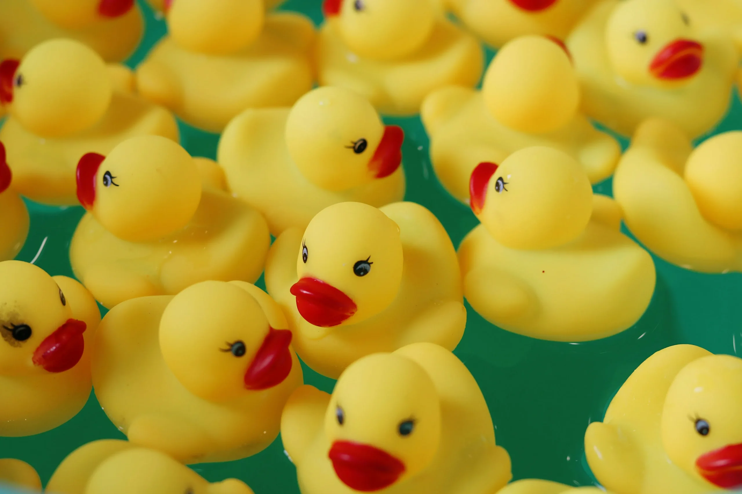 theme jeep ducks