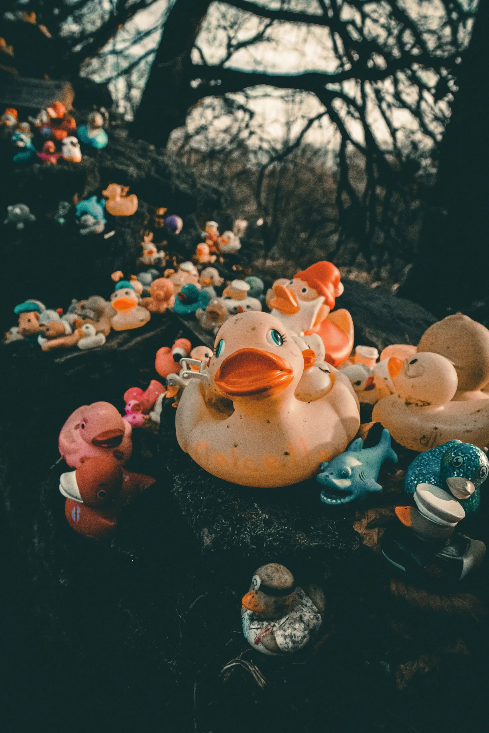 theme jeep ducks