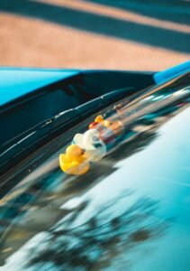theme jeep ducks