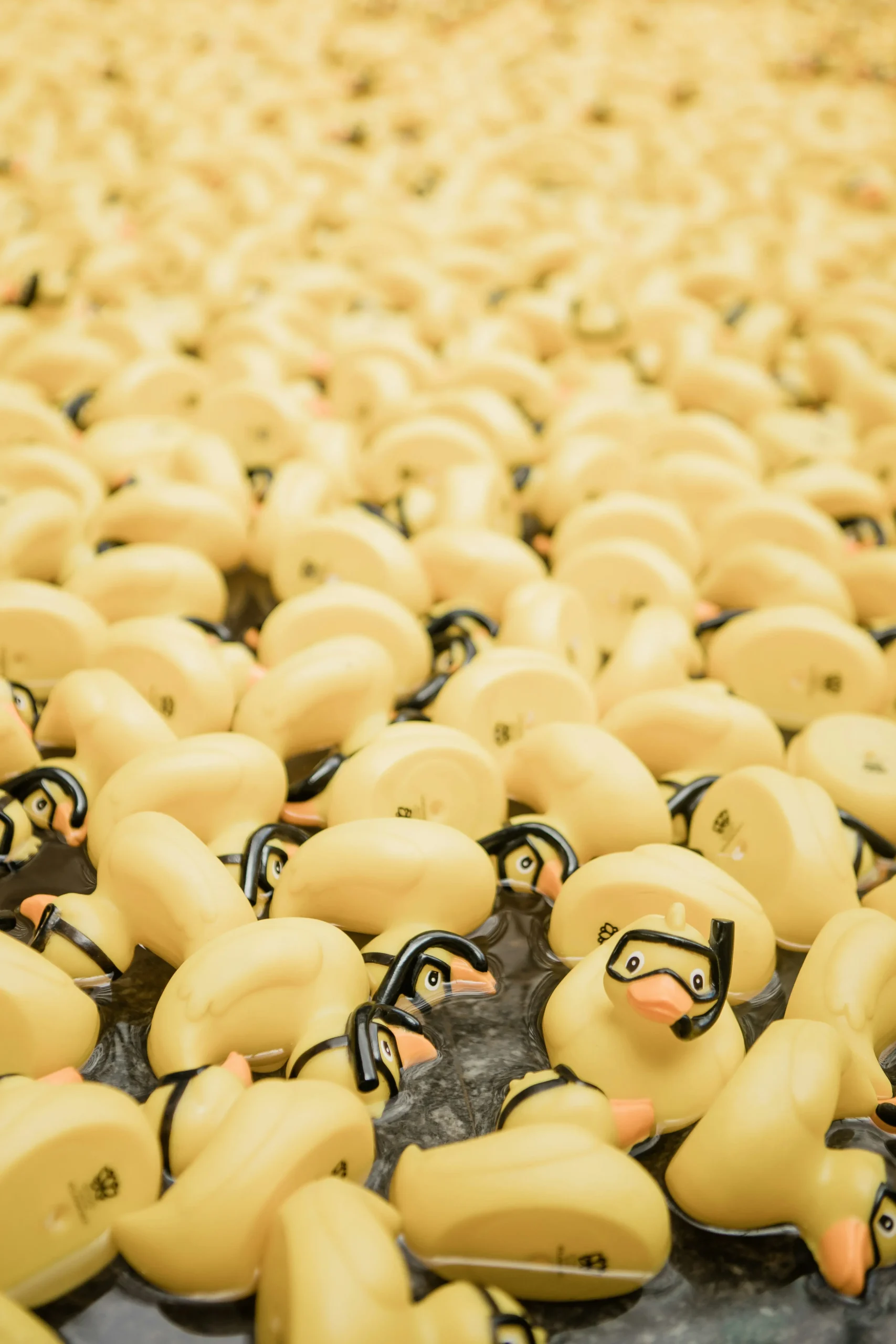theme jeep ducks