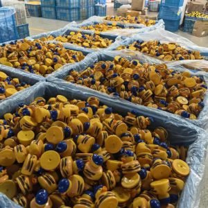 Factory bins filled with yellow ducks wearing blue caps