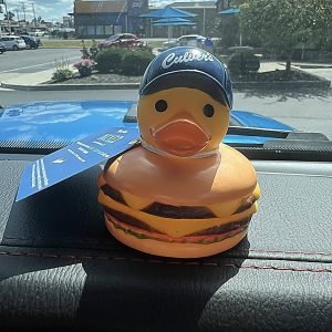 burger-duck-on-dashboard-strict-cleaned-enhanced